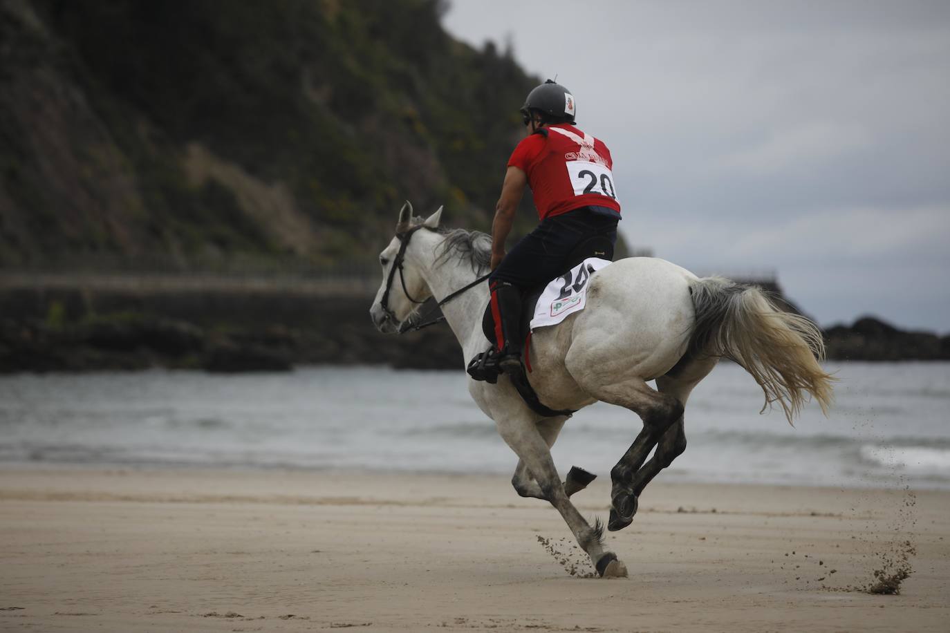 Tras dos años de parón debido a la pandemia, la playa riosellana de Santa Marina vuelve a ser el escenario de la 31 edición de las Carreras de Caballos. Las dos competiciones ecuestres que se celebran este viernes y el sábado cuentan con la participación de más de una treintena de caballos procedentes de Asturias, Galicia, Cantabria y País Vasco. Una prueba hípica de referencia en el norte de España y declarada de interés turístico regional.