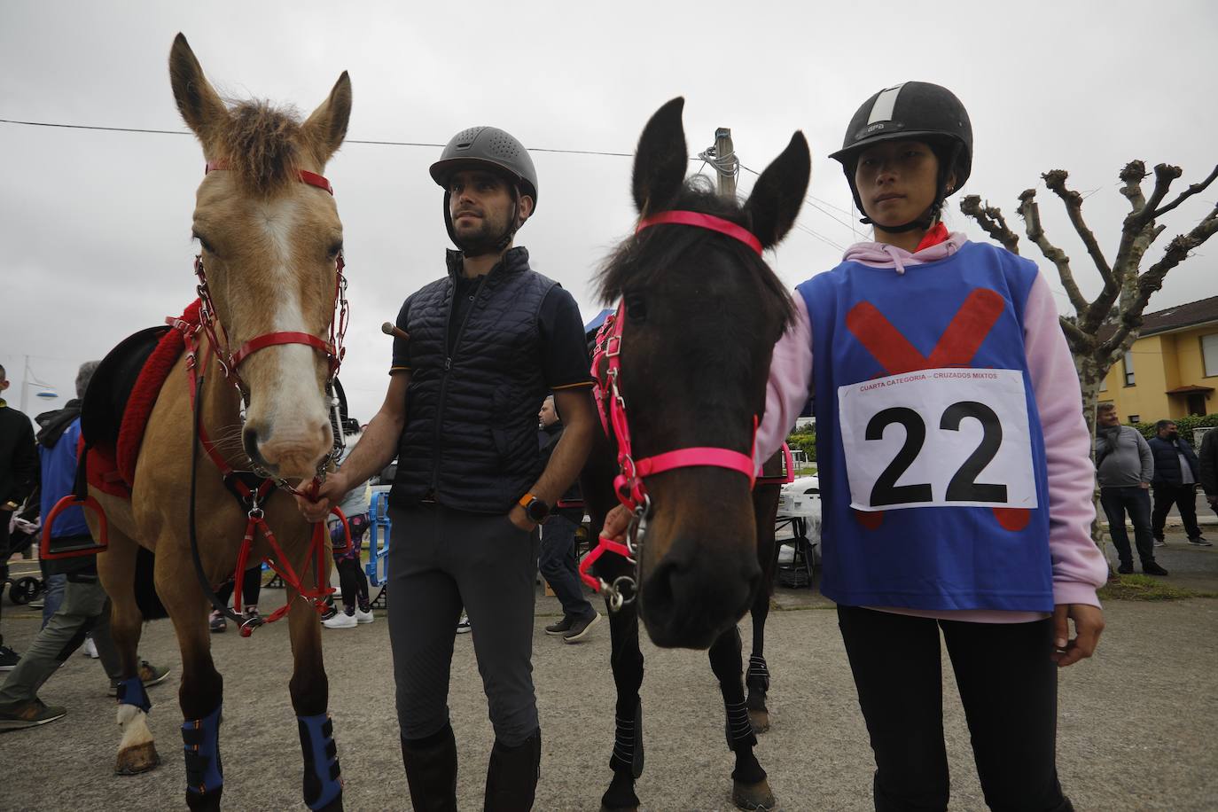 Tras dos años de parón debido a la pandemia, la playa riosellana de Santa Marina vuelve a ser el escenario de la 31 edición de las Carreras de Caballos. Las dos competiciones ecuestres que se celebran este viernes y el sábado cuentan con la participación de más de una treintena de caballos procedentes de Asturias, Galicia, Cantabria y País Vasco. Una prueba hípica de referencia en el norte de España y declarada de interés turístico regional.