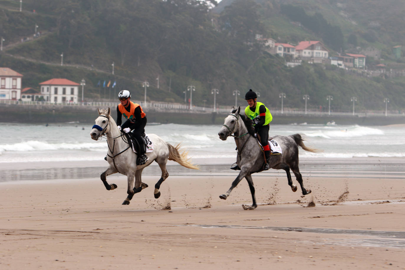 La playa de Santa Marina ha vuelto a llenarse de las Carreras de Caballos Playa de Ribadesella. Este sábado ha servido para coronar a 'Capea' y a su jinete Manuel Revuelta García como los grandes campeones de la 31º edición al vencer en la carrera larga (2.200 m) de la Primera Categoría-Gran Premio Hostelería y Comercio de Ribadesella para cuadrúpedos Pura Sangre Inglés.