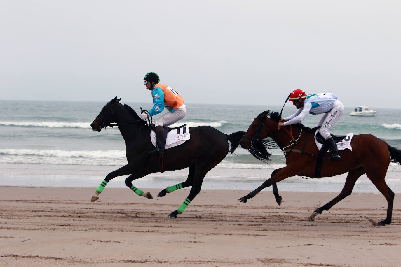 La playa de Santa Marina ha vuelto a llenarse de las Carreras de Caballos Playa de Ribadesella. Este sábado ha servido para coronar a 'Capea' y a su jinete Manuel Revuelta García como los grandes campeones de la 31º edición al vencer en la carrera larga (2.200 m) de la Primera Categoría-Gran Premio Hostelería y Comercio de Ribadesella para cuadrúpedos Pura Sangre Inglés.