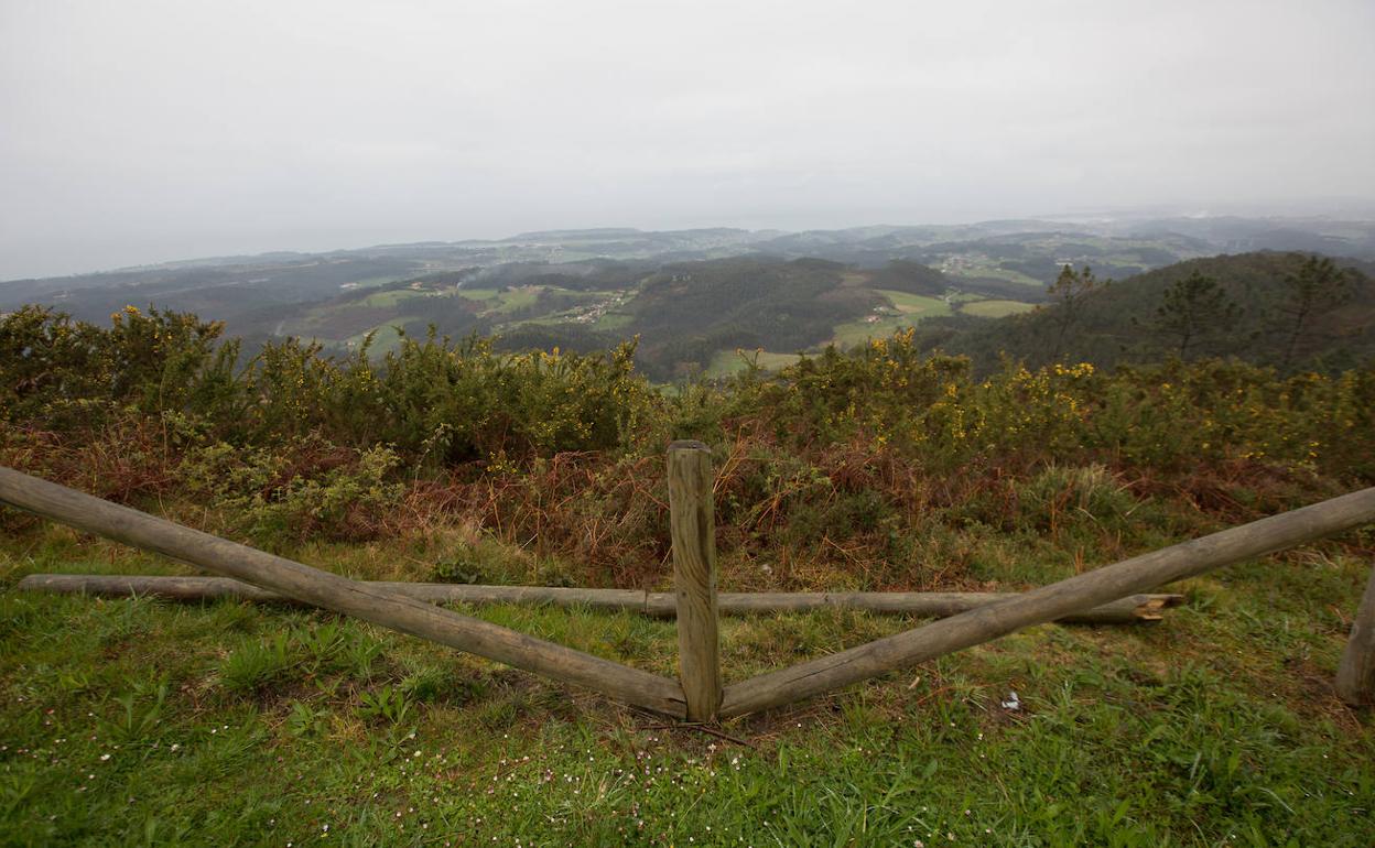 Los hechos se produjeron en una parcela sita en la parte castrillonense de Pulide. 
