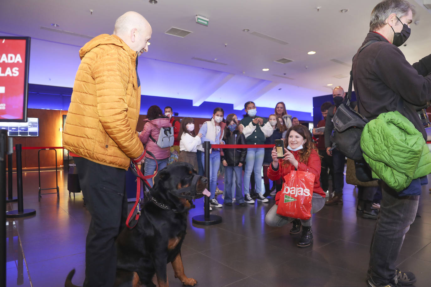 Fotos: El séptimo arte es &#039;dogfriendly&#039; en Gijón