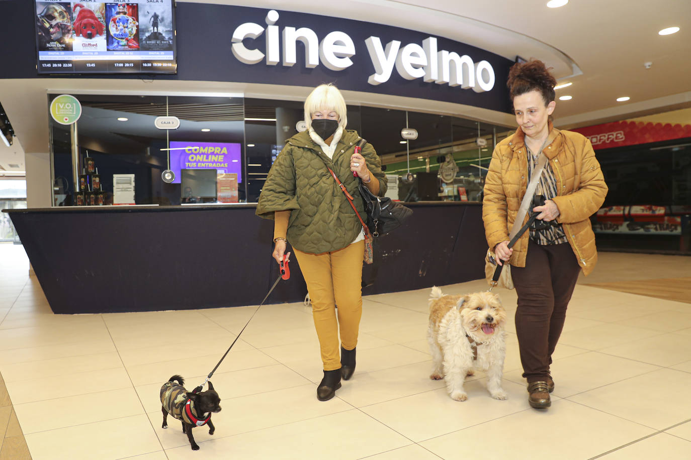 Fotos: El séptimo arte es &#039;dogfriendly&#039; en Gijón
