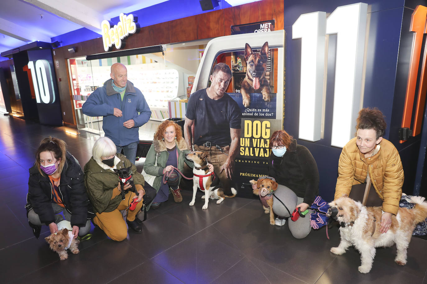 Fotos: El séptimo arte es &#039;dogfriendly&#039; en Gijón
