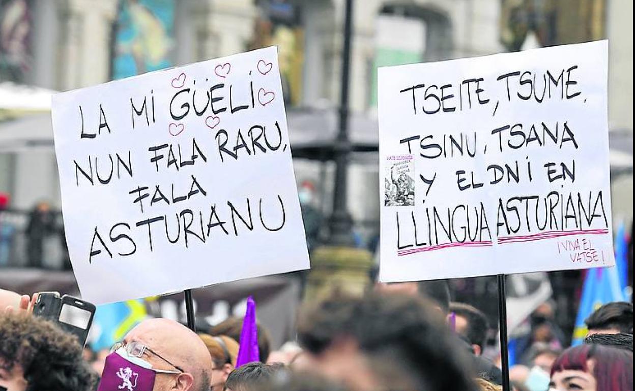 Dos carteles en la manifestación por la oficialidad del pasado octubre.