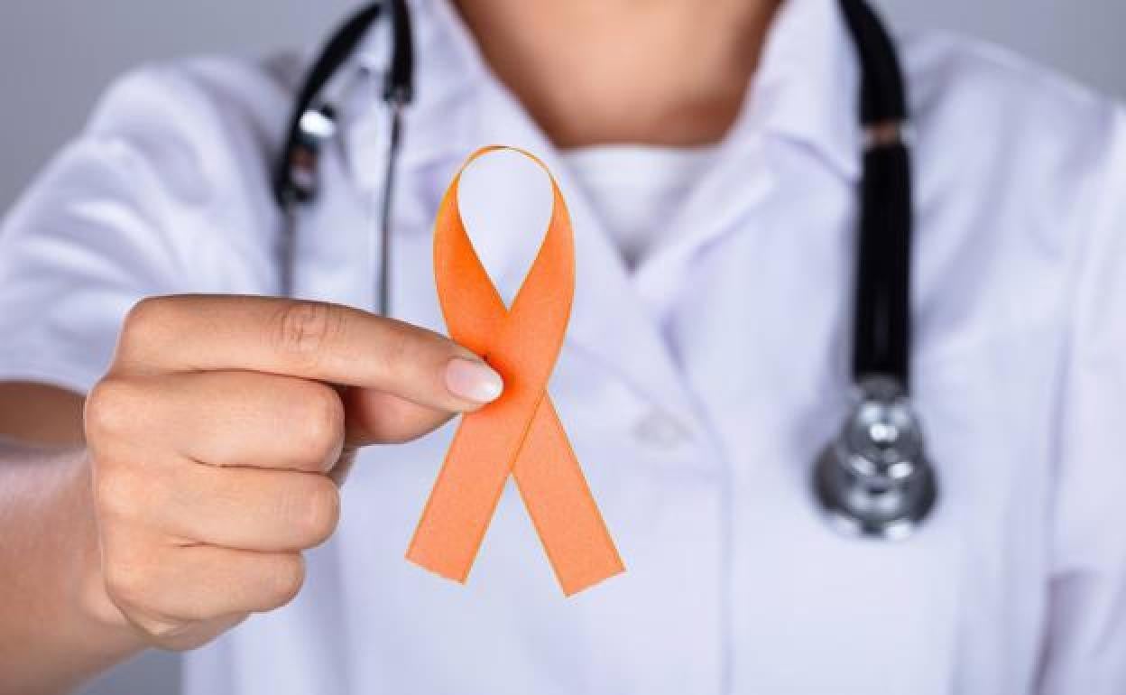 Científicos españoles descubren un aticuerpo que frena las células madre del cáncer. 