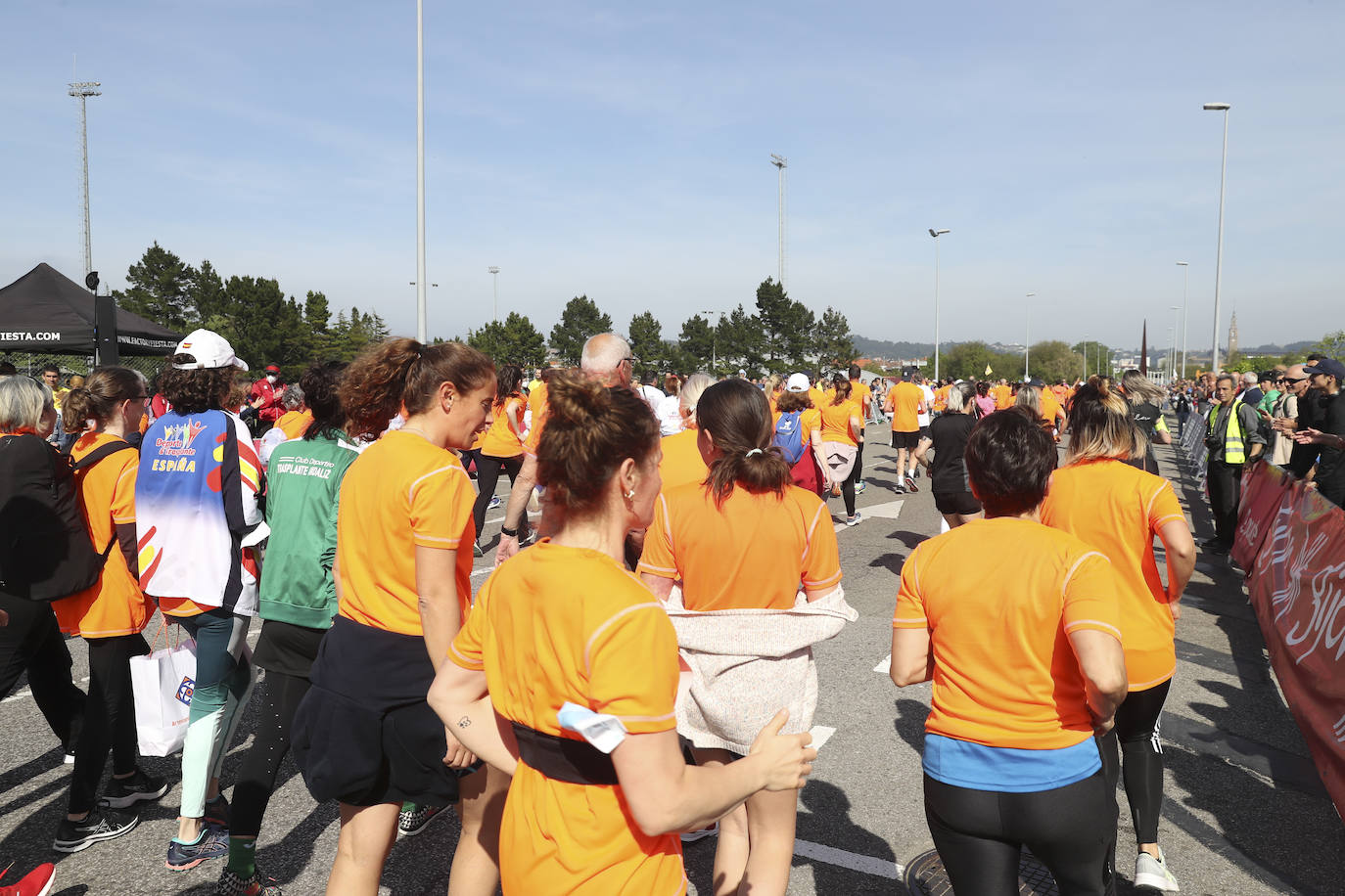 Sin sorpresas. Houssame Eddine y Cristina Silva cumplen con su papel de favoritos en la MBA Media Maratón de Gijón 'Villa de Jovellanos'. Se cumplía una hora, seis minutos y 25 segundos cuando el joven extremeño paralizaba el crono. Habría que esperar diez segundos para que el asturiano Alejandro Onís entrase en segunda posición. Corriendo prácticamente en soledad durante toda la prueba, Silva fue la primera en cruzar la meta al cumplir la hora, 19 minutos y 26 segundos de carrera. Dolores Marco entraba casi un minuto después. Noelia Menéndez completa el podio tras un final agónico en el que Itziar Méndez se queda a las puertas.