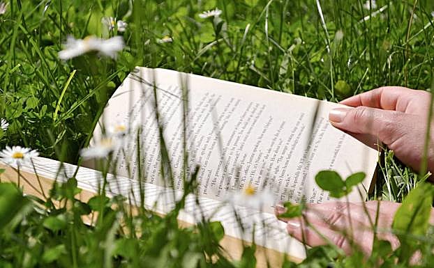 El libro escogido es muy importante si se trata de adquirir el hábito