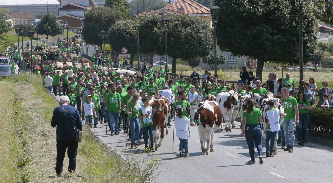 La feria ganadera se vivió este sábado con gran expectación y participación en una edición que devuelve a Llanera su identidad, tras el parón de su tradicional fiesta de San Isidro por la pandemia.