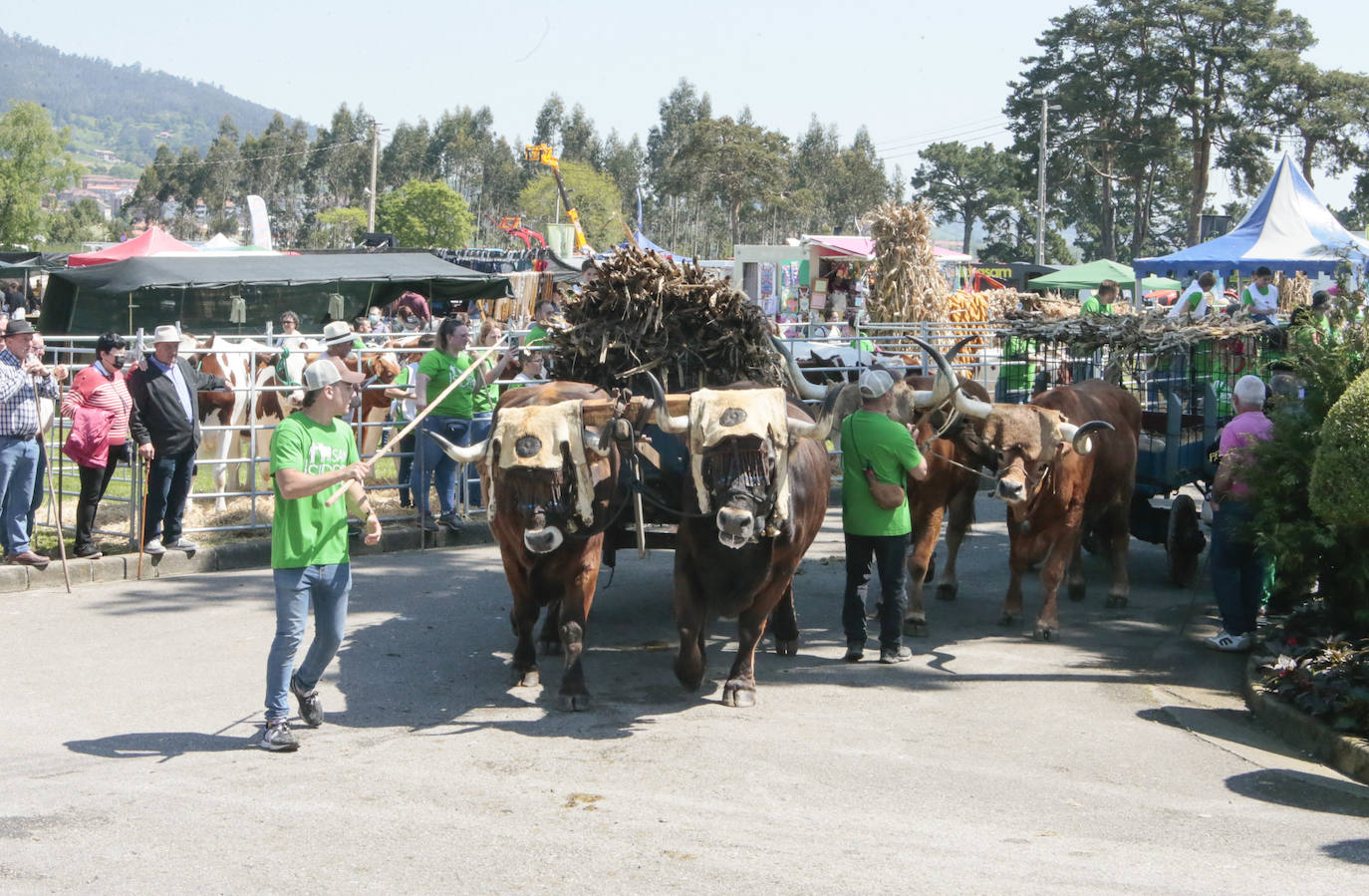 La feria ganadera se vivió este sábado con gran expectación y participación en una edición que devuelve a Llanera su identidad, tras el parón de su tradicional fiesta de San Isidro por la pandemia.