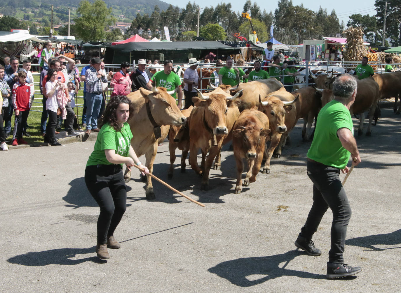 La feria ganadera se vivió este sábado con gran expectación y participación en una edición que devuelve a Llanera su identidad, tras el parón de su tradicional fiesta de San Isidro por la pandemia.