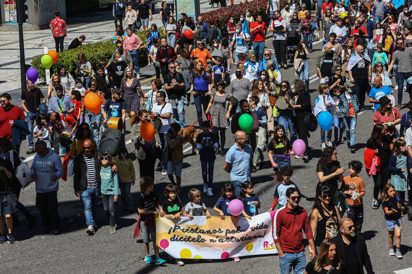 Más de dos mil personas claman por la oficialidad en Oviedo. Los partidos políticos presentes se dividieron entre aquellos que creen que habrá que esperar a la próxima legislatura y los que defienden que aún se está a tiempo