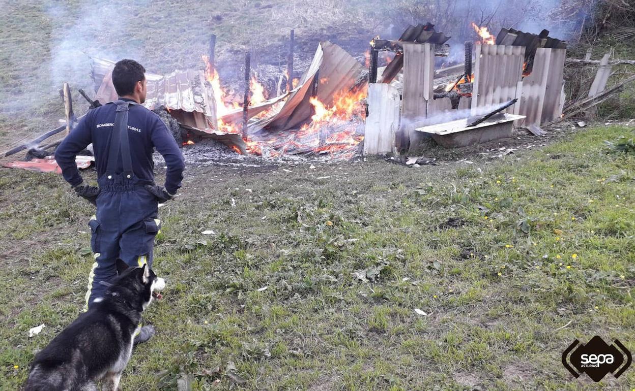 Efectivos de emergencias ante la instalación afectada por las llamas. 