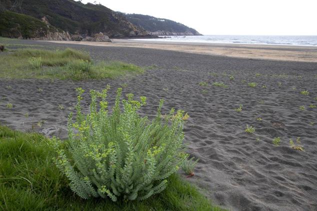 Playa Otur (Valdés)