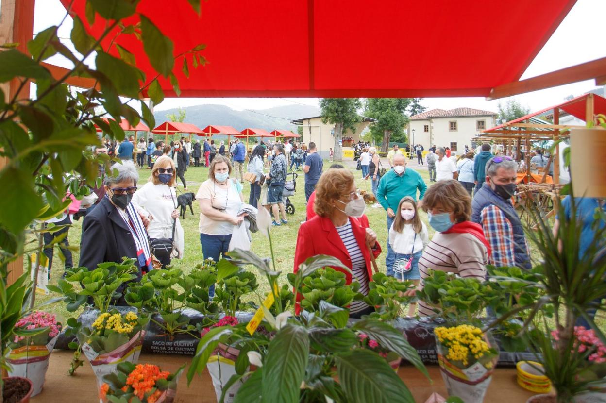 Imagen de archivo de la pasada edición del Festival de la Fresa de Candamo. 