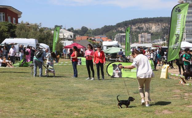 Actividades paralelas junto a la playa. La organización dispuso de todo de tipo de actos y promociones en Salinas. 