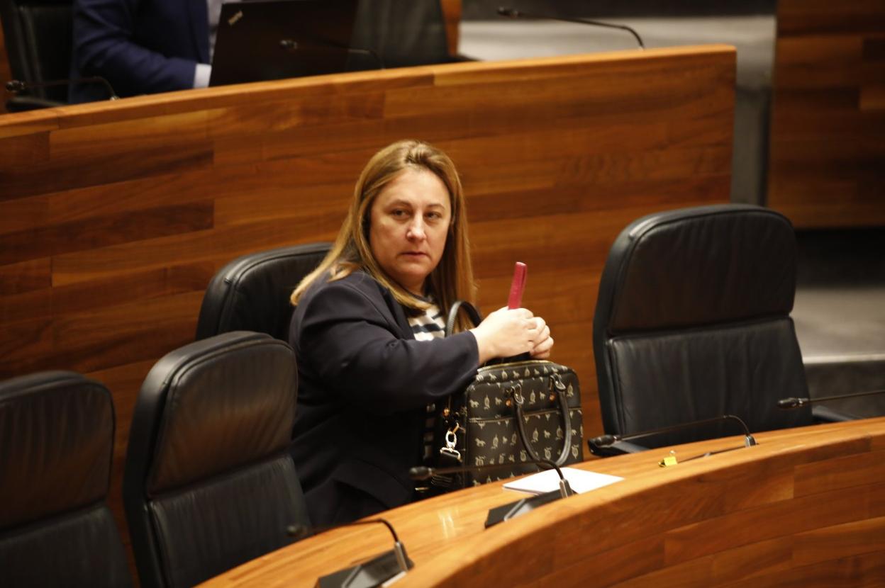 Lydia Espina, durante el Pleno de ayer. 