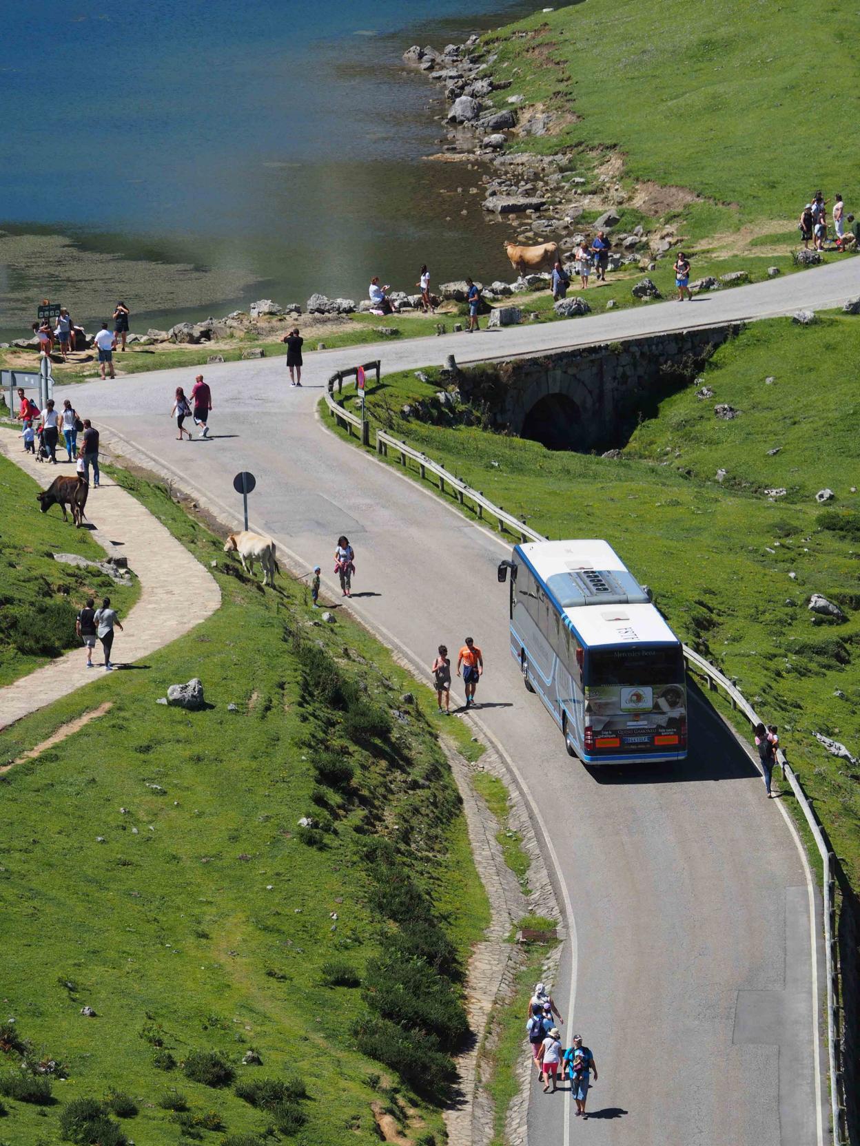 Bus por la carretera de Lagos. 