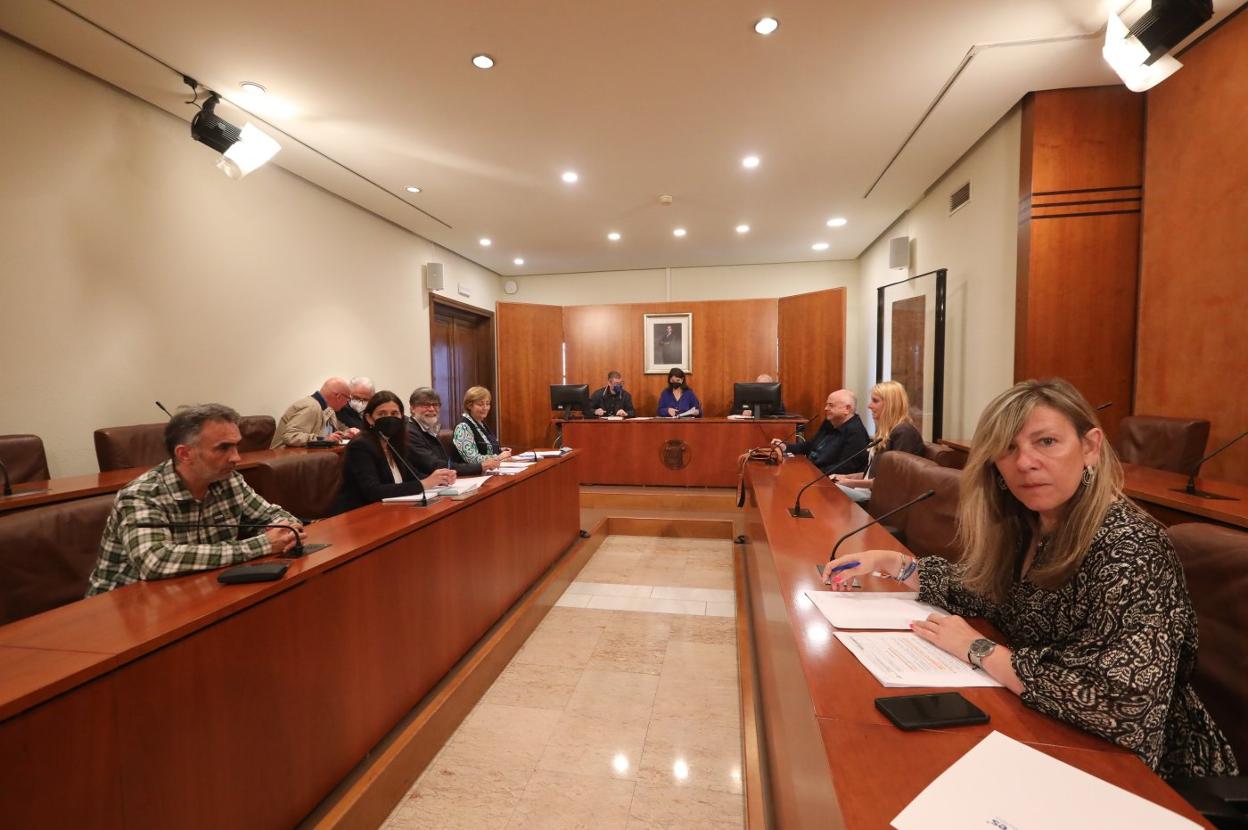 La presidenta de la Mancomunidad dio cuenta de los proyectos al resto de miebros de la junta. 