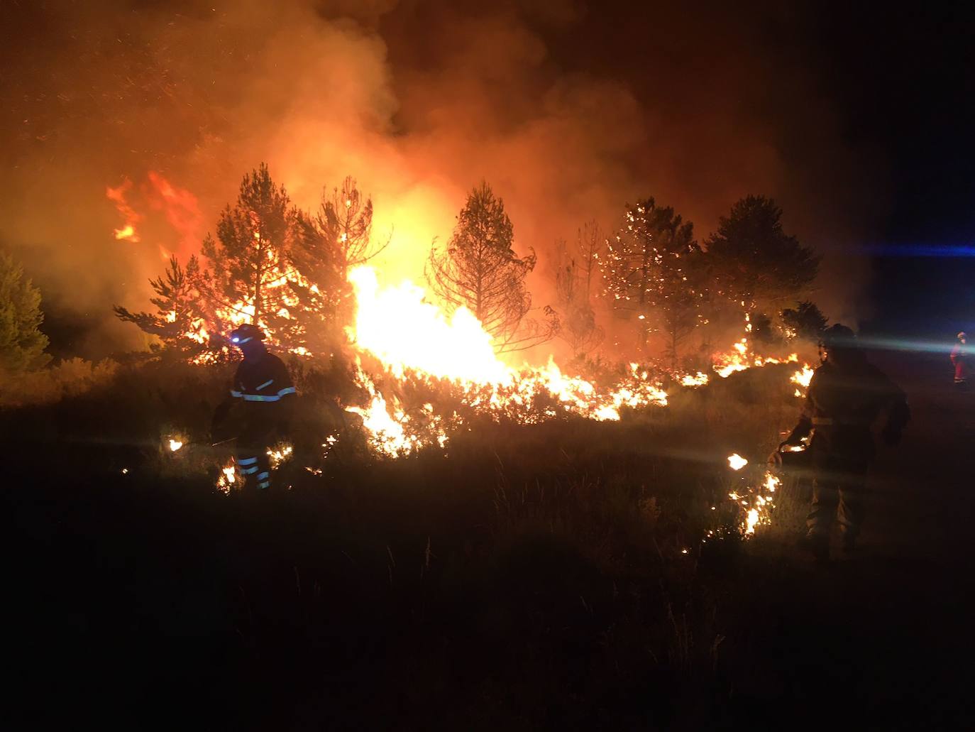 Uno de los incendios forestales que más preocupan es el de la provincia de Zamora. Las llamas se originaron en el entorno de la Sierra de la Culebra y han obligado a evacuar a los habitantes de más de una docena de municipios. 