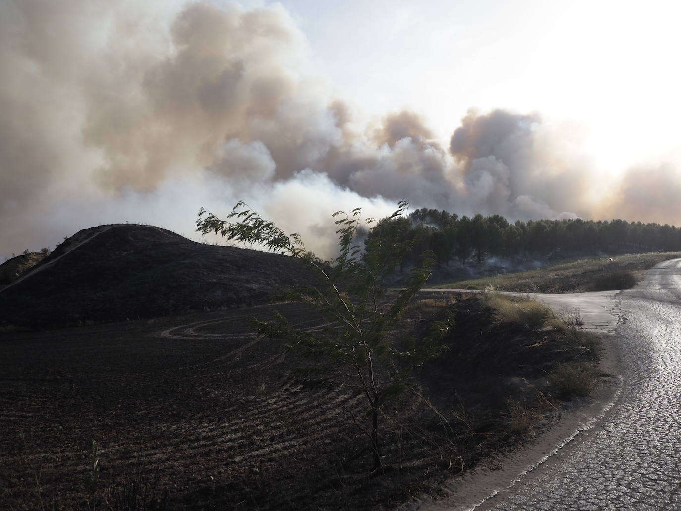 Agentes de la Policía Foral han localizado este viernes el punto de inicio del incendio en Leyre, cuyo origen parece estar relacionado con los numerosos rayos caídos durante la tarde noche del día 14.