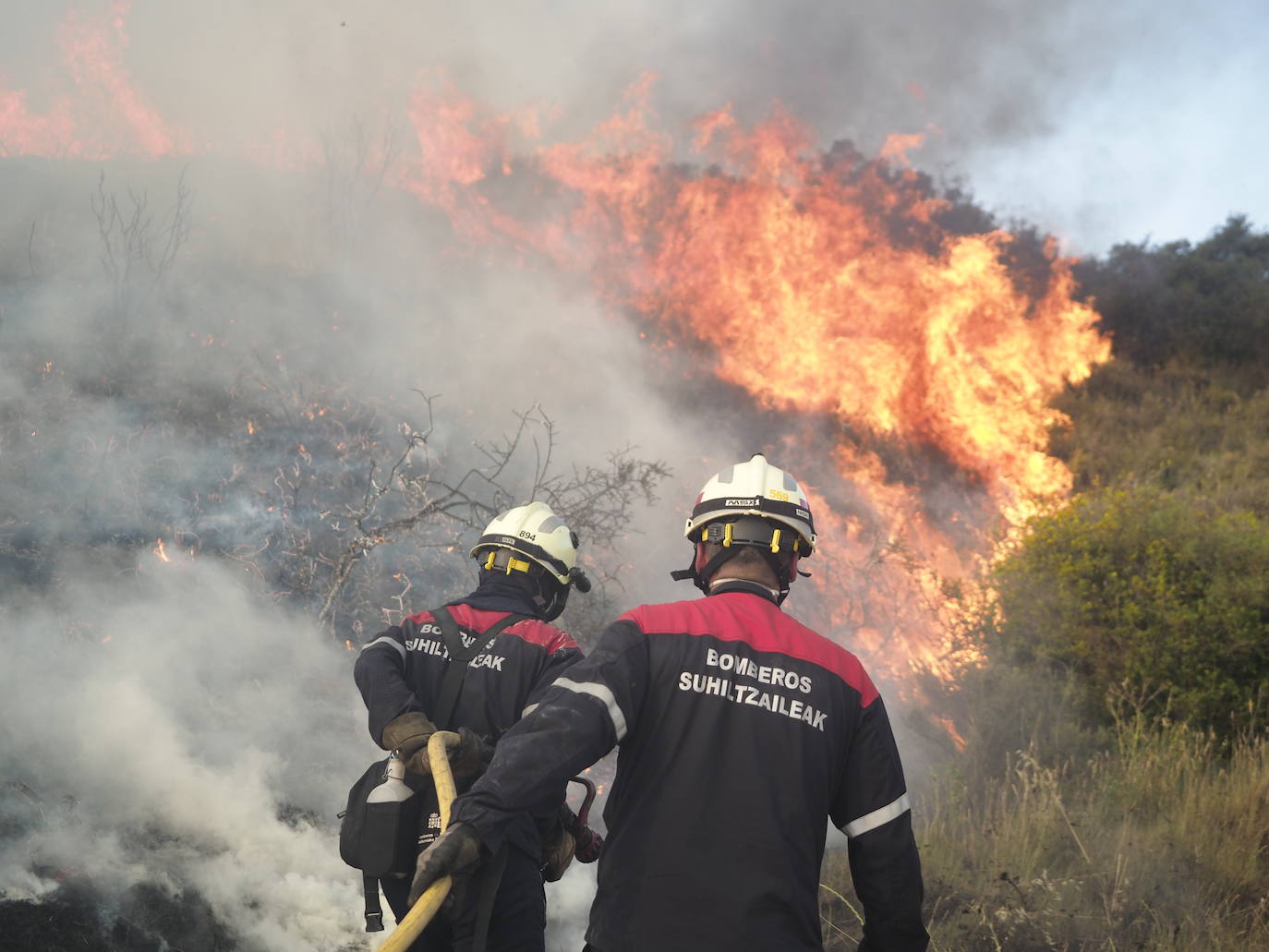 Según han informado desde el cuerpo policial, uno de los rayos afectó directamente a un pino laricio (pinus nigra), dando origen al incendio forestal.