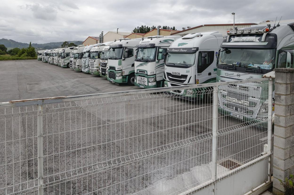 Camiones estacionados en un polígono industrial de Gijón. 