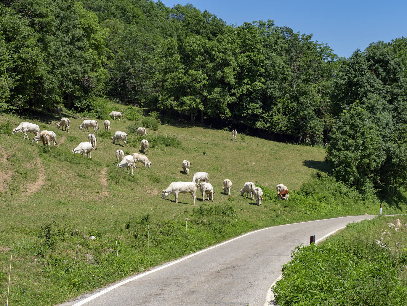 Colle Fauniera (Italia) 2480 metros.