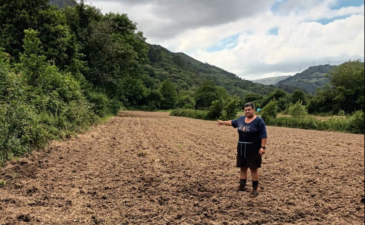 Rosa Álvarez, agricultora y ganadera en su finca de Alava (Salas). 