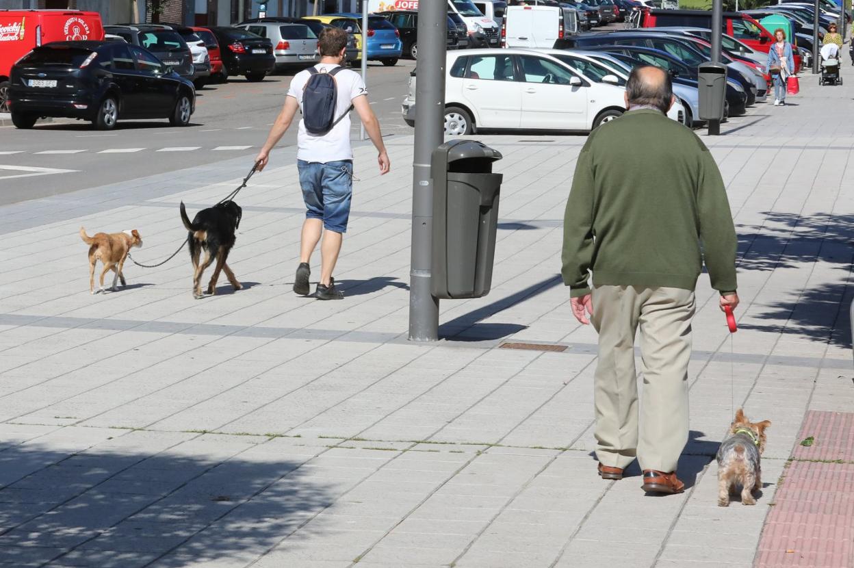 Dos hombres pasean a tres perros por la calle Juan Ochoa. 