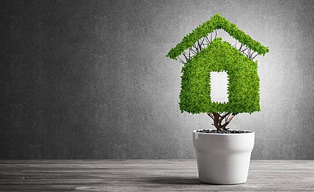 Hoy la superficie silvestre apenas cubre el 30% del planeta 