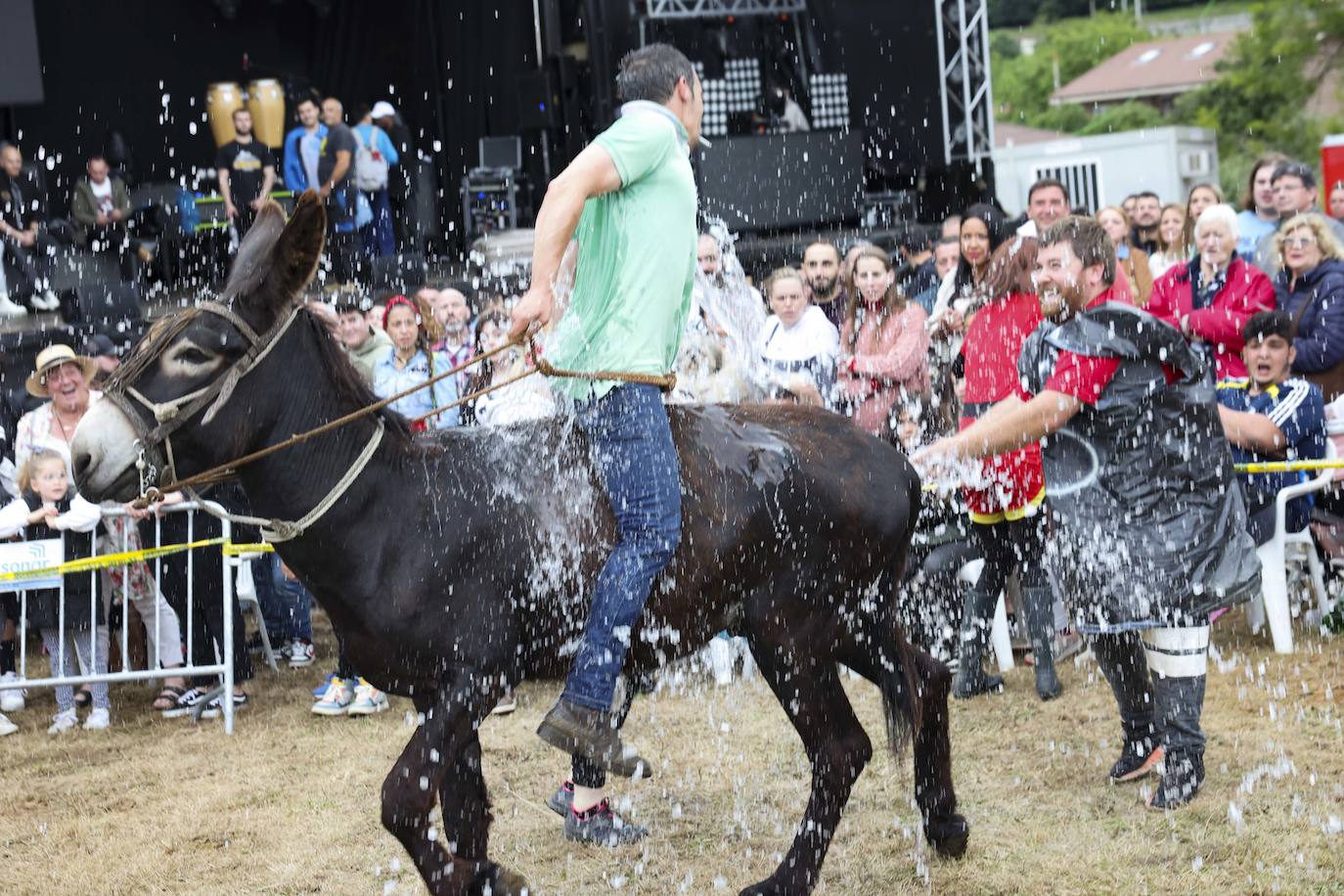 Con motivo de las fiestas de San Cristóbal Collao recuperó este lunes a partir de las ocho de la tarde su tradicional carrera de burros (con y sin disfraces). Se trata de una cita que ya suscitó cierta polémica en el pasado debido a las quejas de los colectivos animalistas, aunque la organización demostró tener todos los papeles en regla y la diversión ha continuado hasta la pandemia sin impedimento