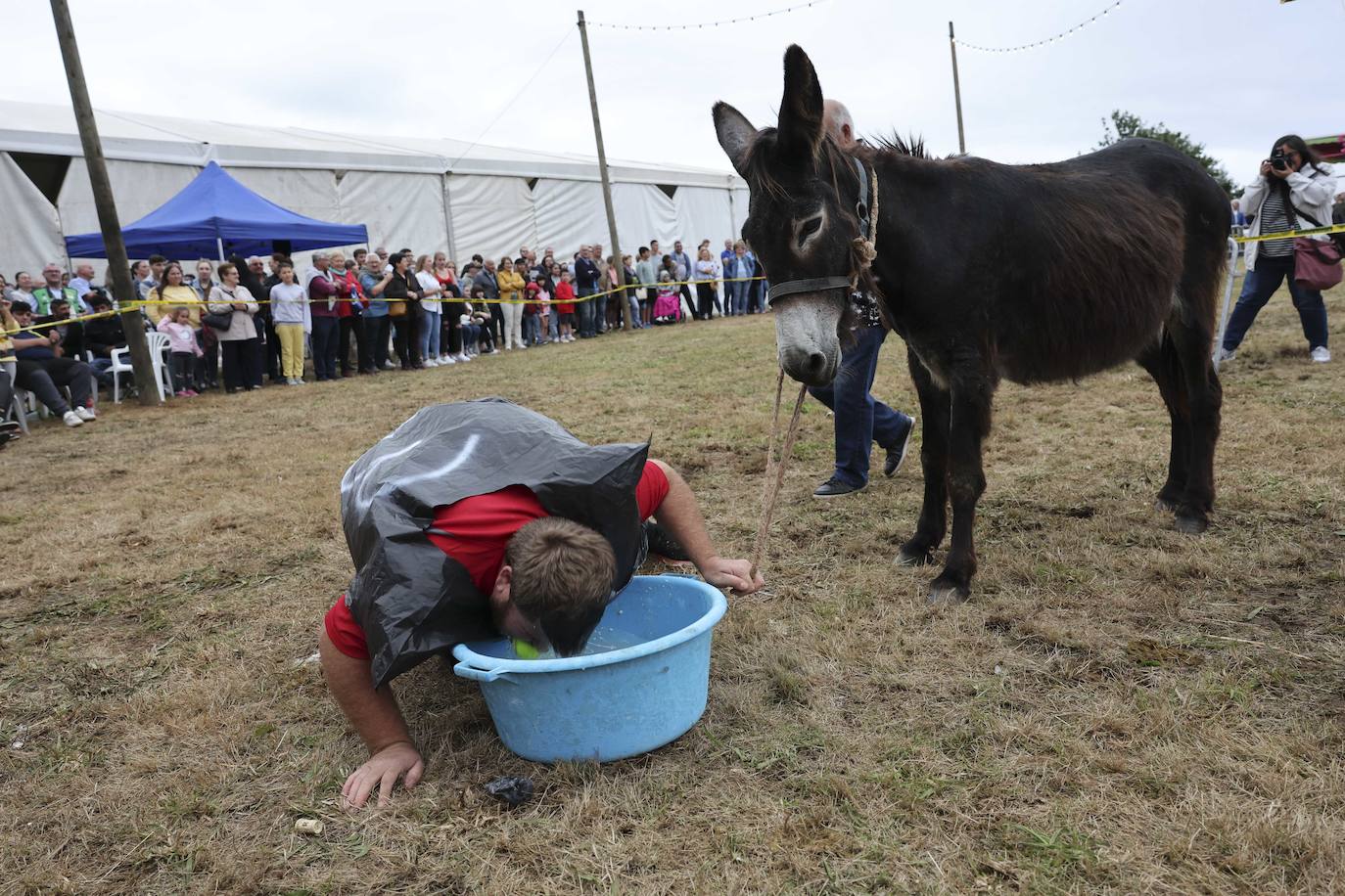 Con motivo de las fiestas de San Cristóbal Collao recuperó este lunes a partir de las ocho de la tarde su tradicional carrera de burros (con y sin disfraces). Se trata de una cita que ya suscitó cierta polémica en el pasado debido a las quejas de los colectivos animalistas, aunque la organización demostró tener todos los papeles en regla y la diversión ha continuado hasta la pandemia sin impedimento