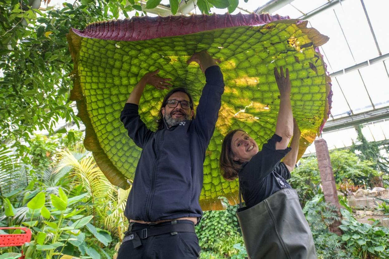 Carlos Magdalena y Lucy Smith sostienen una 'Victoria boliviana'. 