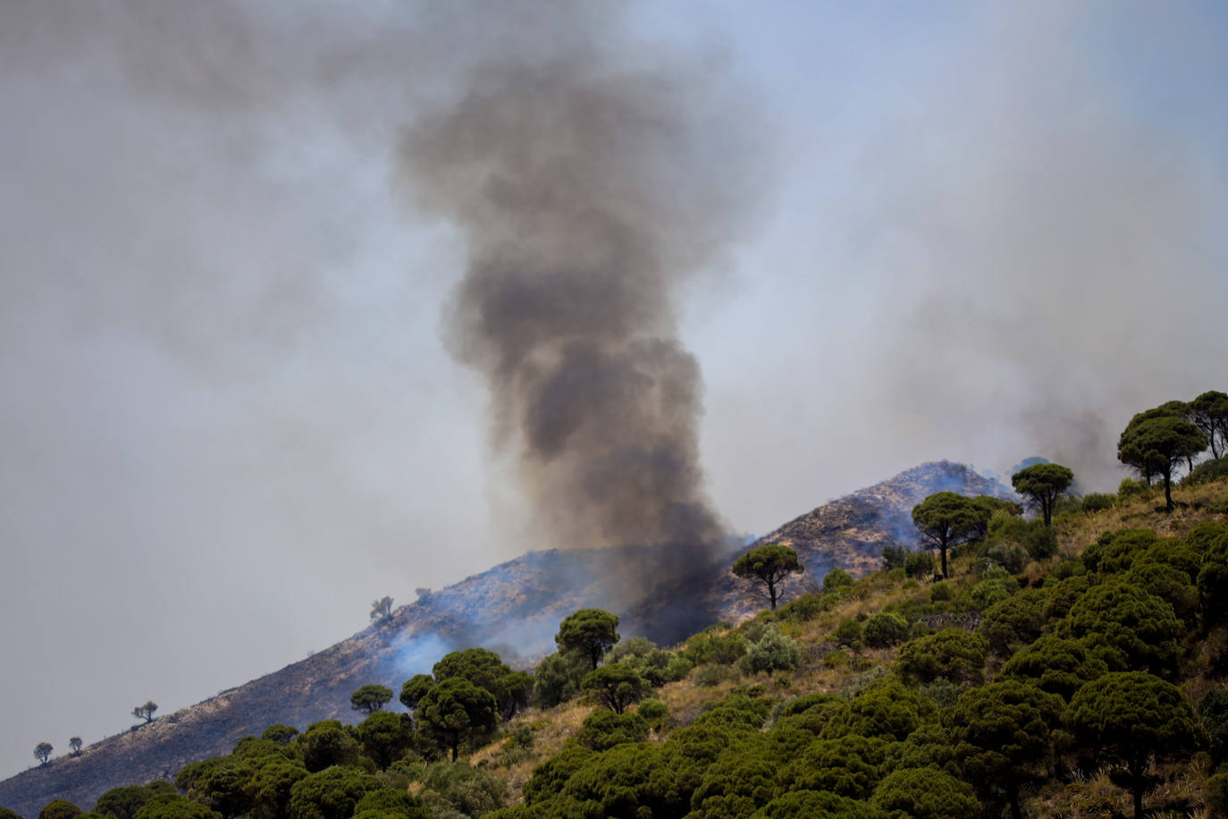 Málaga. La situación también es crítica en esta provincia, donde ya se superan las 3.000 personas evacuadas. El fuego no ha dado tregua a los efectivos forestales en la Sierra de Mijas ya que las condiciones para las tareas de extinción son extremadamente difíciles dada la orografía, las condiciones climatológicas y la superficie repleta de pinares. Todos estos factores provocaron que este viernes las llamas se propagaran hasta los 50 metros por minuto.