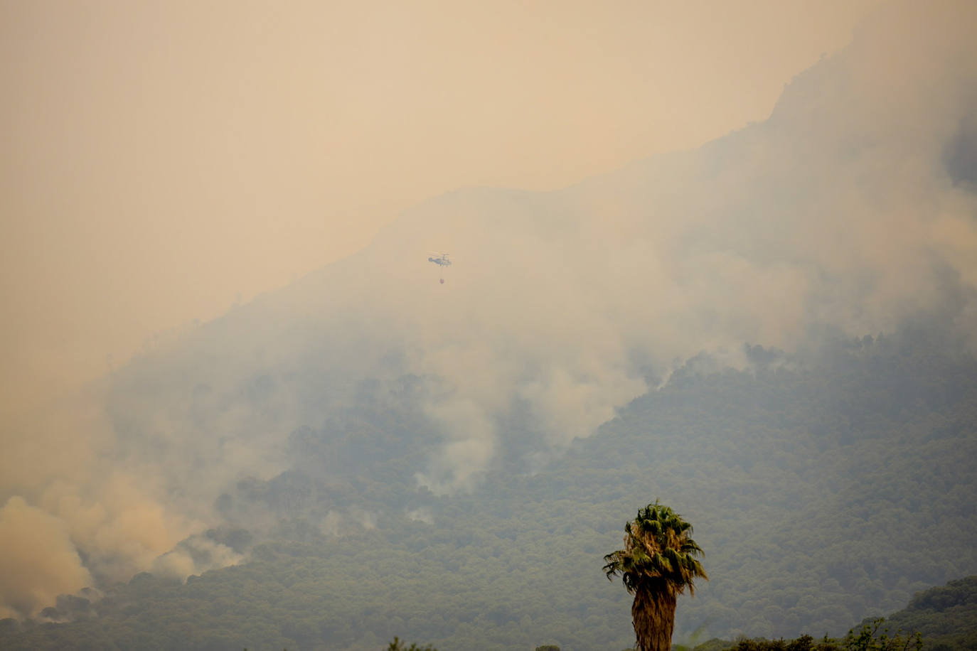 Málaga. La situación también es crítica en esta provincia, donde ya se superan las 3.000 personas evacuadas. El fuego no ha dado tregua a los efectivos forestales en la Sierra de Mijas ya que las condiciones para las tareas de extinción son extremadamente difíciles dada la orografía, las condiciones climatológicas y la superficie repleta de pinares. Todos estos factores provocaron que este viernes las llamas se propagaran hasta los 50 metros por minuto.