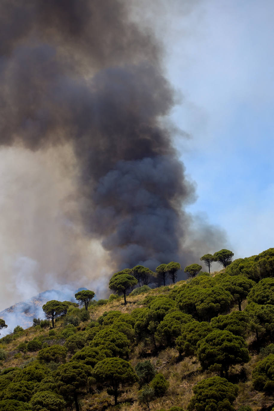 Málaga. La situación también es crítica en esta provincia, donde ya se superan las 3.000 personas evacuadas. El fuego no ha dado tregua a los efectivos forestales en la Sierra de Mijas ya que las condiciones para las tareas de extinción son extremadamente difíciles dada la orografía, las condiciones climatológicas y la superficie repleta de pinares. Todos estos factores provocaron que este viernes las llamas se propagaran hasta los 50 metros por minuto.