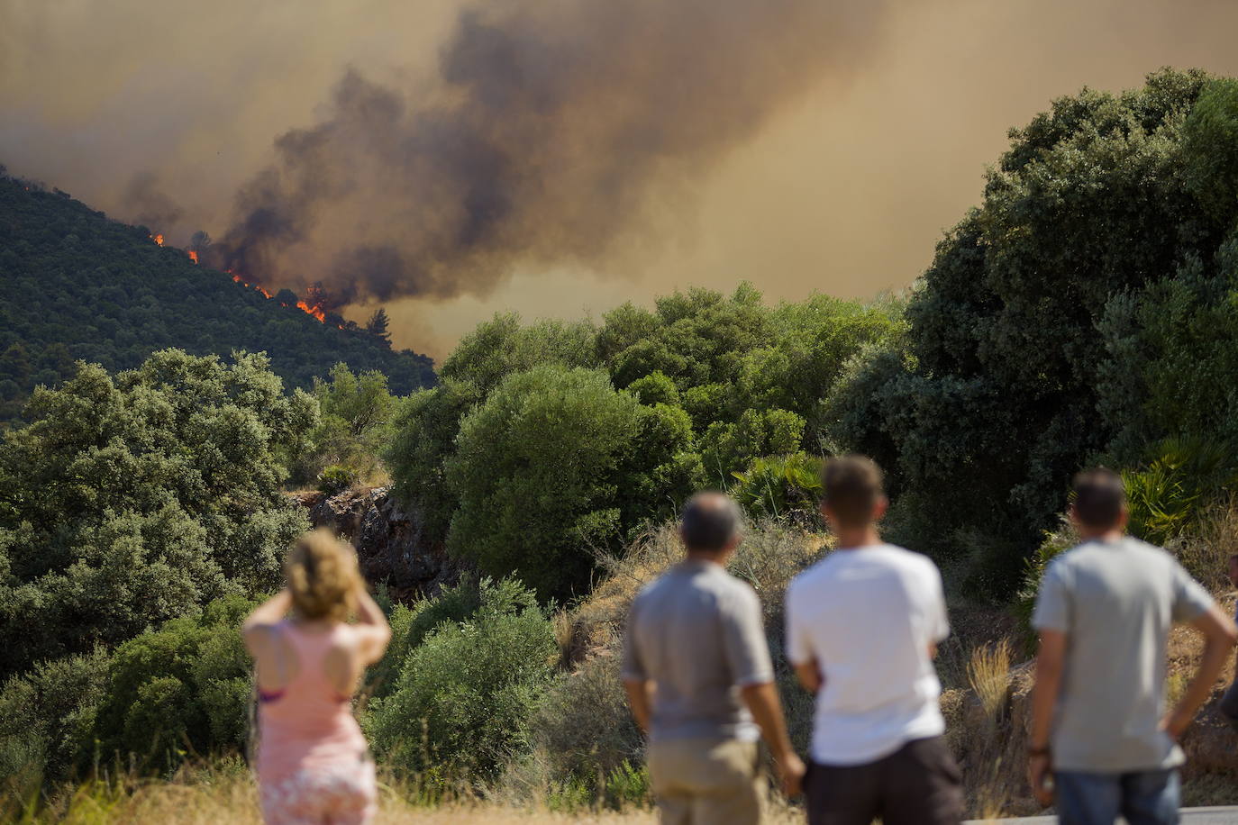 Málaga. La situación también es crítica en esta provincia, donde ya se superan las 3.000 personas evacuadas. El fuego no ha dado tregua a los efectivos forestales en la Sierra de Mijas ya que las condiciones para las tareas de extinción son extremadamente difíciles dada la orografía, las condiciones climatológicas y la superficie repleta de pinares. Todos estos factores provocaron que este viernes las llamas se propagaran hasta los 50 metros por minuto.