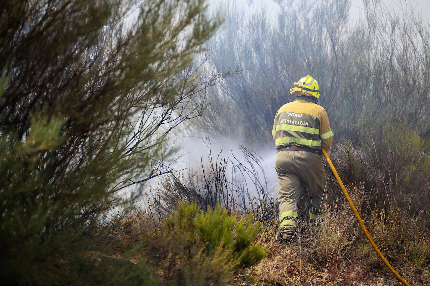 Las llamas han vuelto a castigar a la Sierra de la Culebra, en Zamora, donde el pasado mes de junio se calcinaron más de 30.000 hectáreas en el que fue el peor incendio forestal de la historia en Castilla y León y uno de los más graves de España. La provincia registra este fin de semana dos fuegos, uno en Figueruela de Arriba y otro en Roelos de Sayago. El primero de ellos obligó a desalojar el municipio de Villarino de Manzanas por la proximidad de las llamas. 