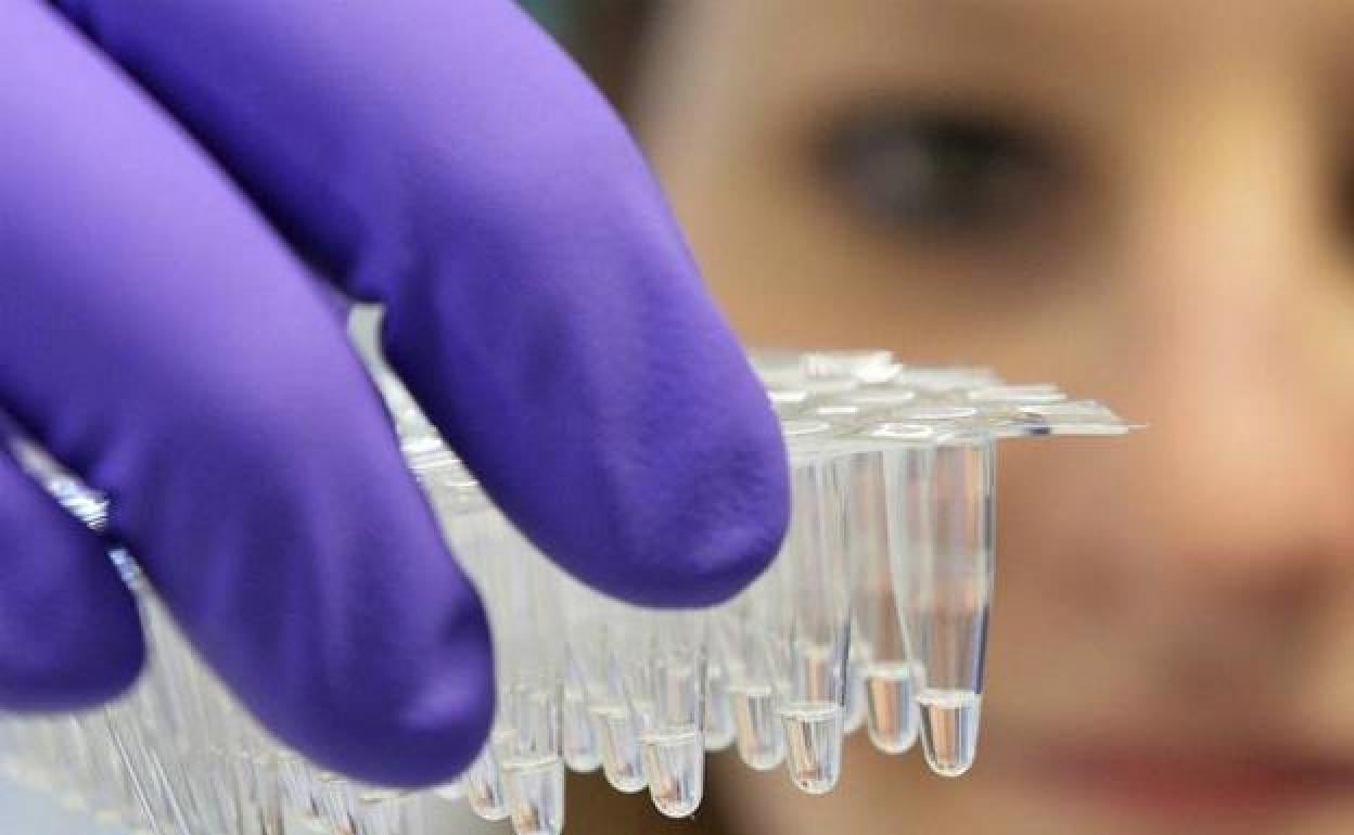 Alerta de la OMS sobre la viruela del mono:  «No creo que tardemos mucho en declarar la pandemia»