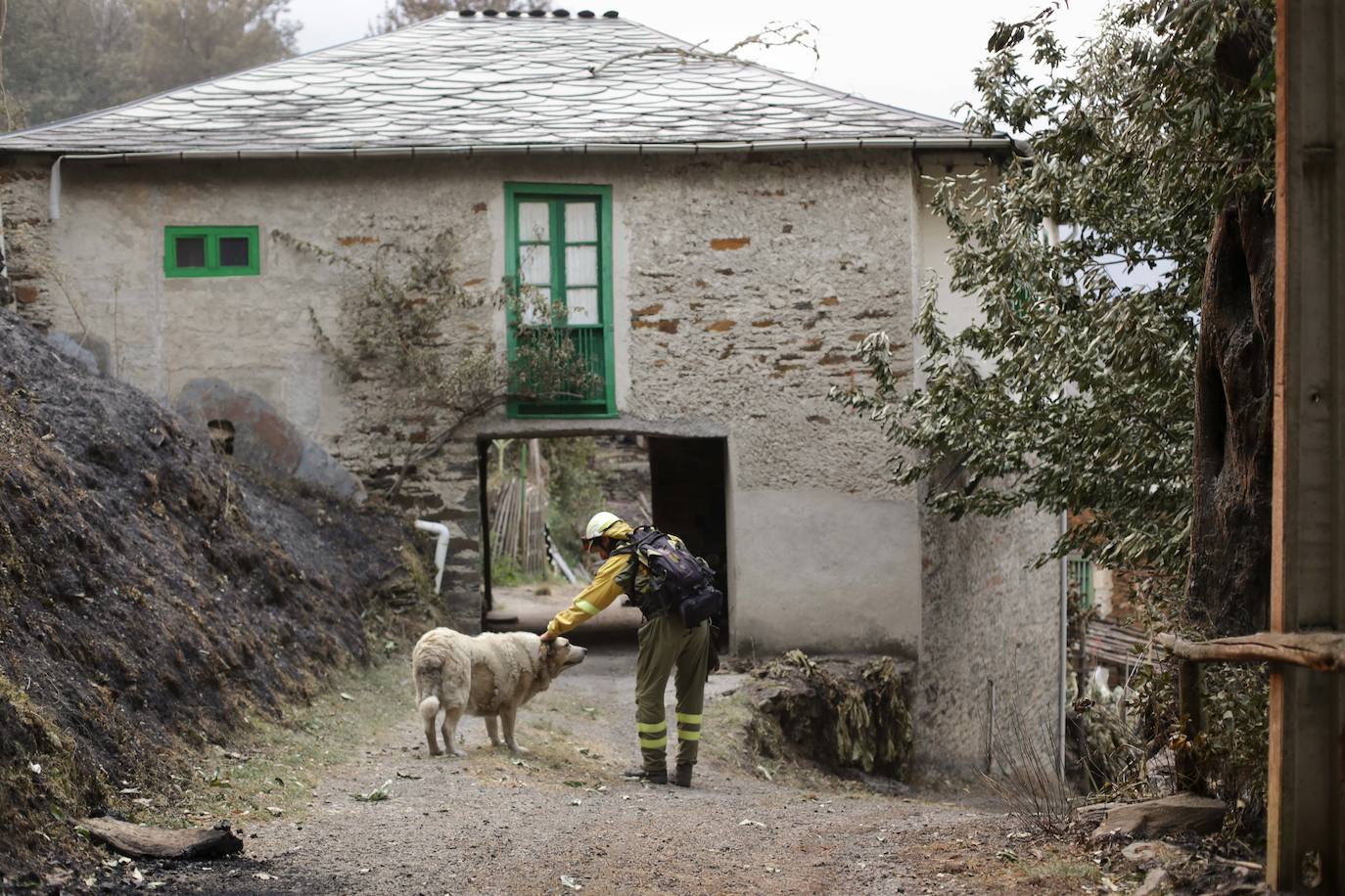 Fotos: Los incendios asolan Galicia destruyendo casas y parajes naturales