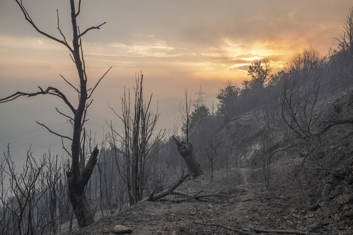 Fotos: Los incendios asolan Galicia destruyendo casas y parajes naturales