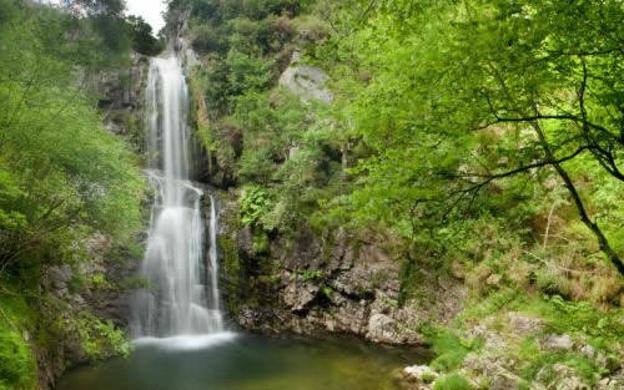 En el interior del concejo costero de Castropol se encuentra el salto de Cioyo, de más de treinta metros de altura. La ruta de acceso, de casi tres kilómetros, comienza en las antiguas escuelas de la aldea de Vilarín y transcurre por el corazón de un frondoso bosque autóctono que finaliza a los pies de la cascada.