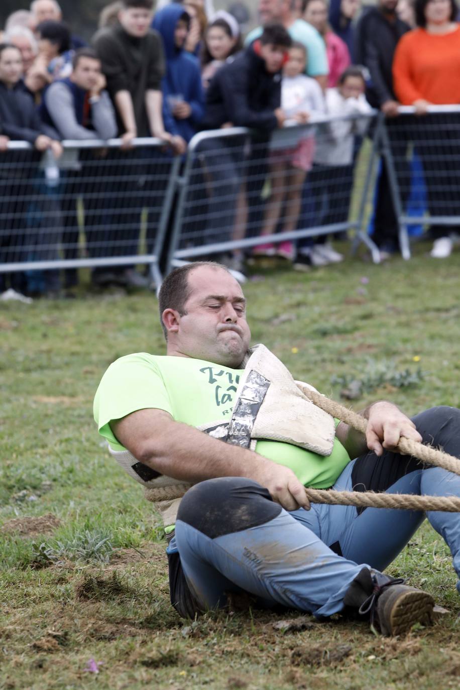 La Fiesta del Pastor venció a la niebla con un programa festivo lleno de actividades tradicionales como respaldo a la labor de los ganaderos de los Picos de Europa. Los Lagos de Covadonga volvieron a reunir a cientos de personas que asistieron a la tradicional subida a la Porra de Enol. En la carrera se impusieron Manuel Merillas y Verónica Gutiérrez. Carreras de caballos, tiro de cuerda y bailes regionales, además de la tradicional misa y la elección del regidor de pastos, que volvió a recaer en Toño García, completaron el programa. Manuel González y Carmina Remis fueron los pastores homenajeados y se estrenó el documental 'El reino de los pastores'.