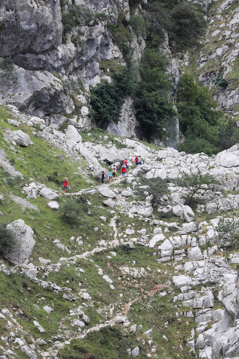 Fotos: Intensa búsqueda de Javier Amigo, el montañero gijonés desaparecido en la canal del Texu