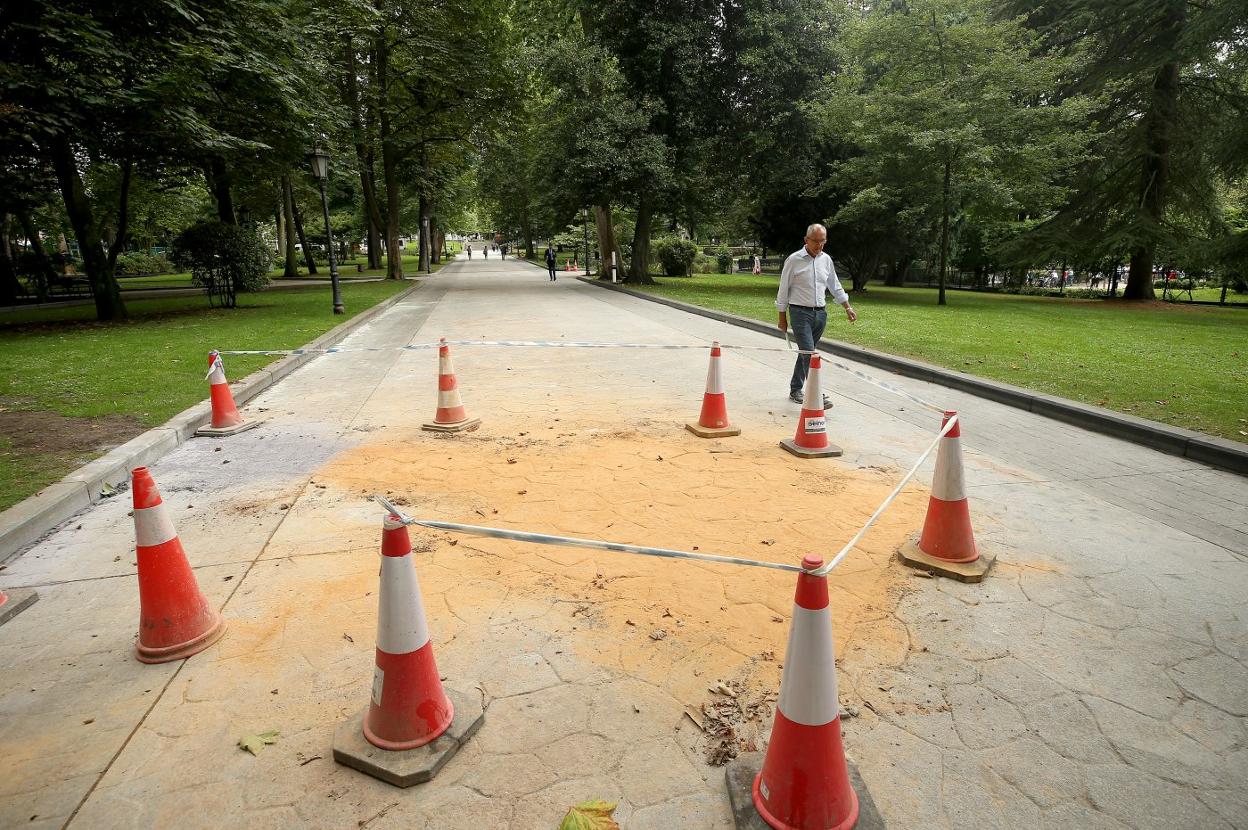 Las mejoras del pavimento se llevan a cabo por varias zonas del Campo San Francisco. 