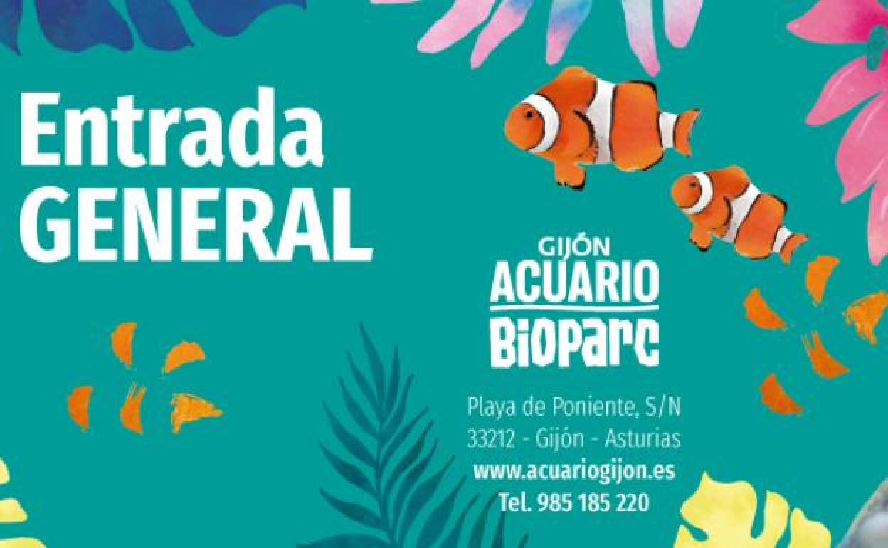 Sorteo 10 entradas dobles para el Acuario de Gijón