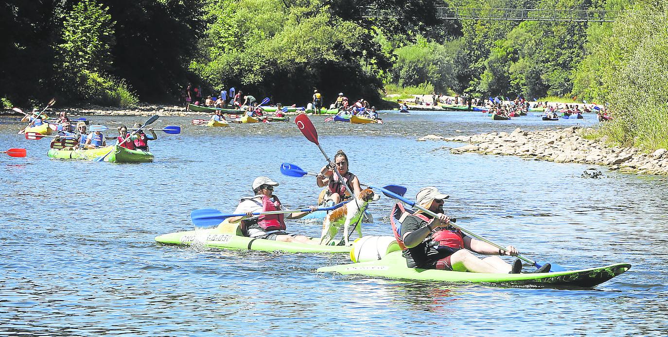 Aficionados bajando el Sella con las diferentes empresas de turismo activo que nacieron al calor del Descenso. josé simal