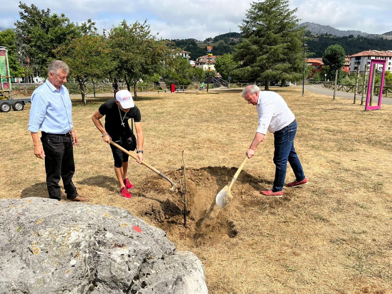 Juan Manuel Feliz, Omar Linares y Emilio García Longo plantan el sauce criollo en el parque de La Concordia. 