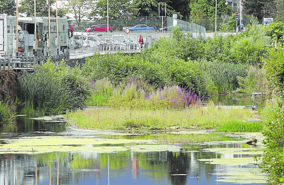 Junto al Grupo hay una zona de frondosa vegetación y otra tomada por las algas. 